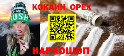 гидра Будённовск