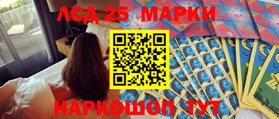 гидра Будённовск