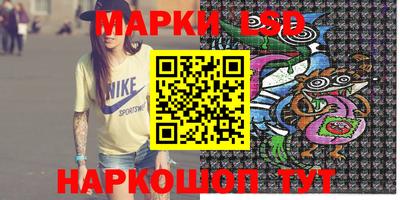 гидра Будённовск