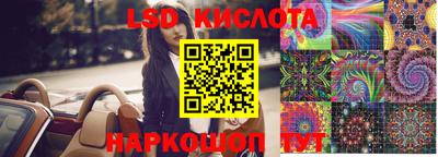 гидра Будённовск