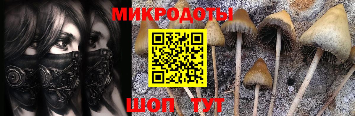 Галлюциногенные грибы GOLDEN TEACHER  Вход с VPN  Советск 