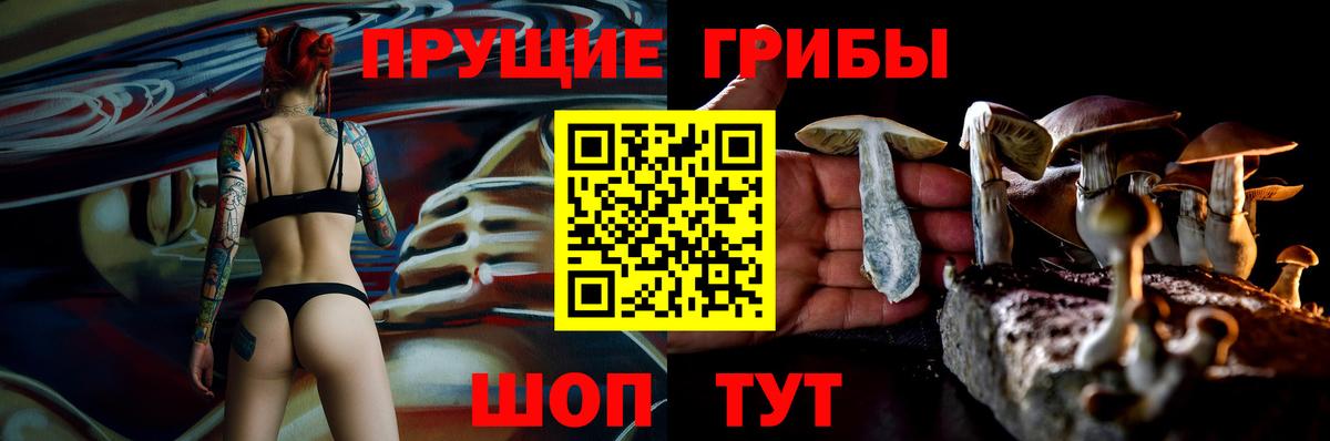 Галлюциногенные грибы мицелий Советск